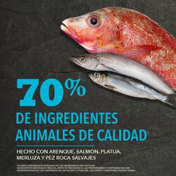 null - Product thumbnail 3.0